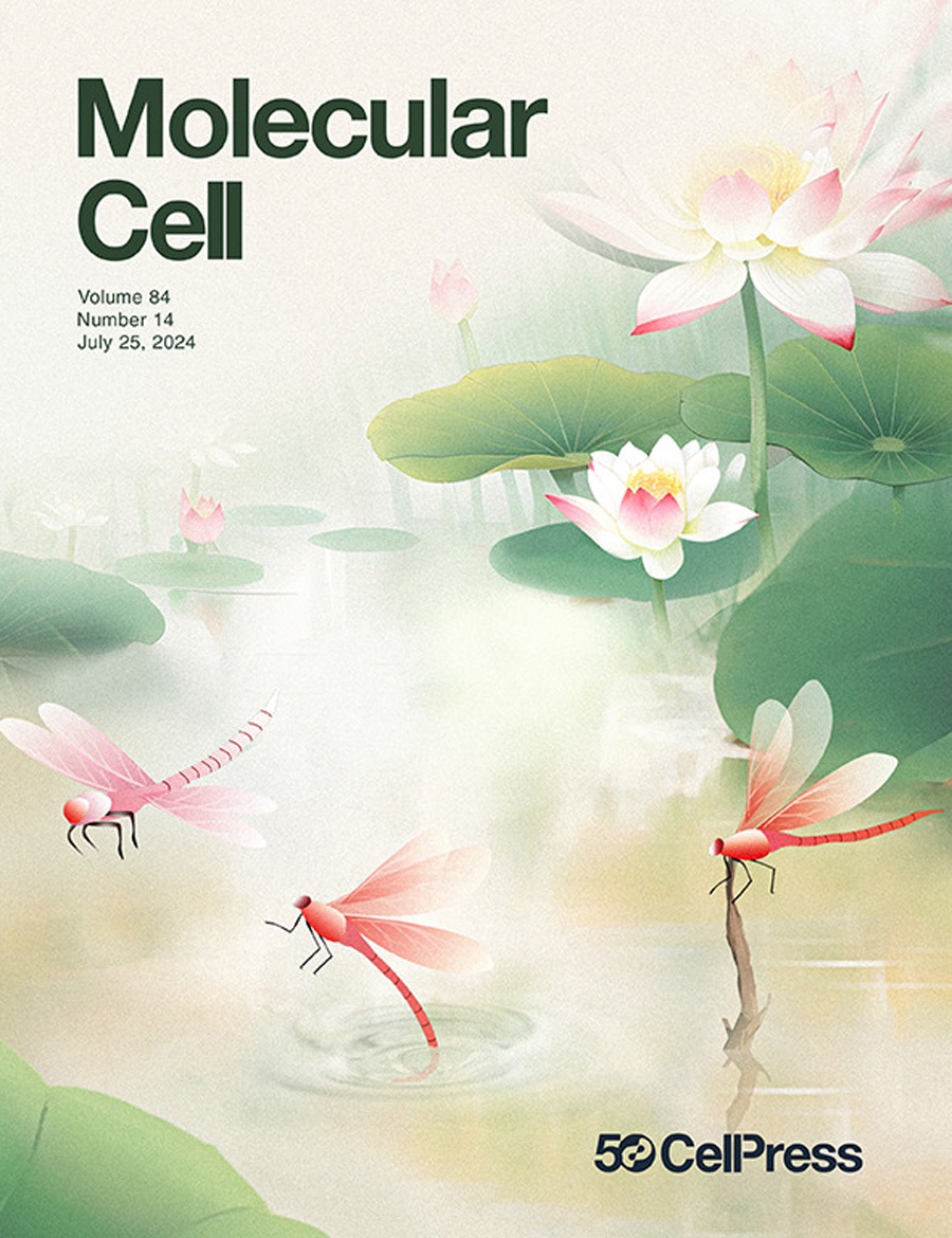 『Titelgeschichte』Mol Cell-Cover! Die wundersame Reise der Transkriptionsaktivierung bei morphologischen Veränderungen bei der Embryonenimplantation!