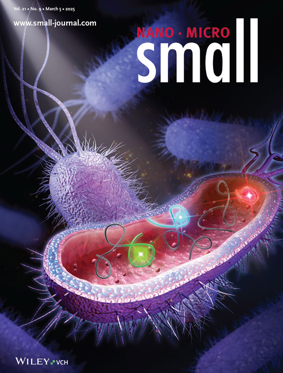 『Titelgeschichte』Myosotis eröffnet eine neue Ära der RNA-Bildgebung!