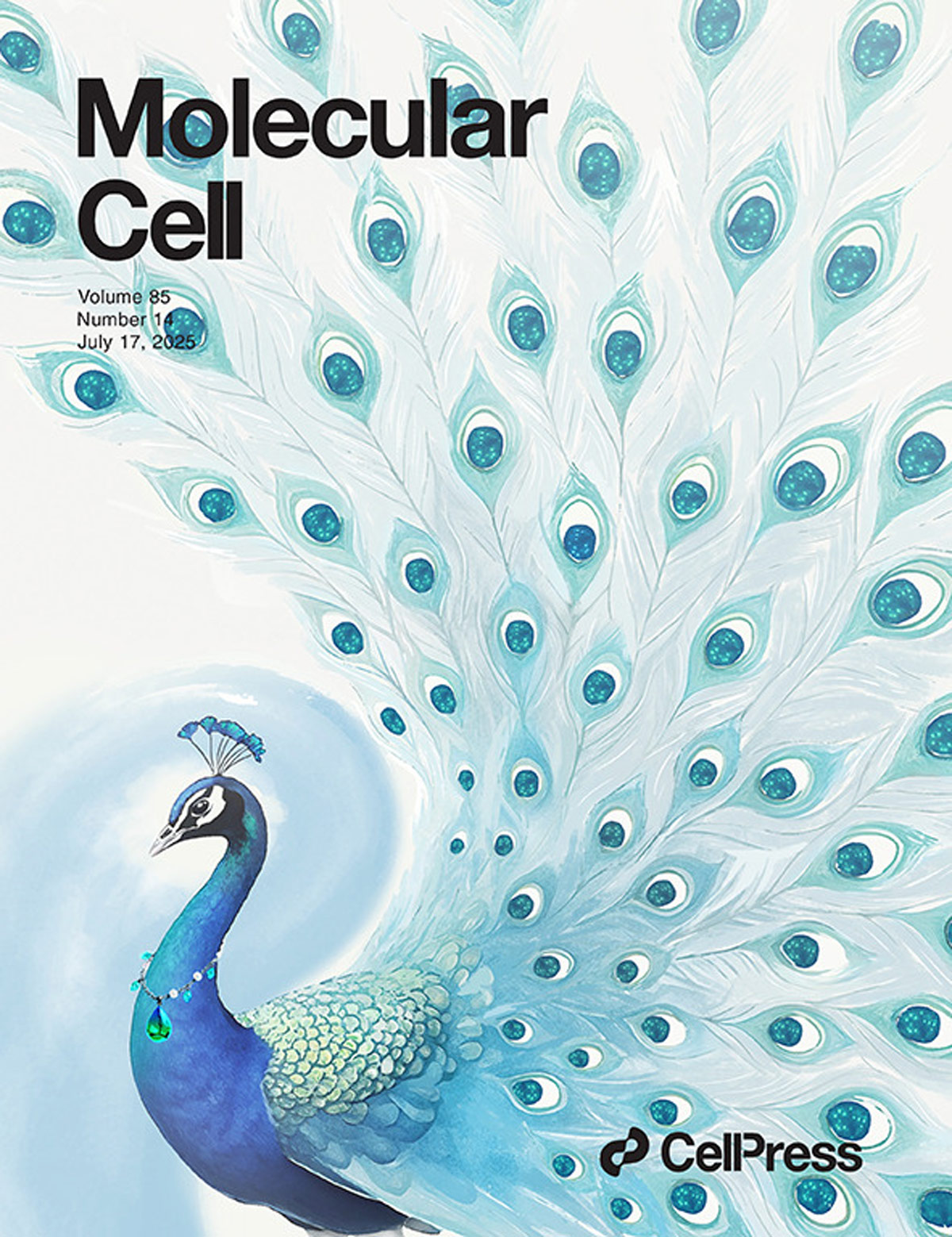 『Das entworfene Cover wurde in Molecular Cell vorgestellt』Die Milchsäuremodifikation von YTHDC1 eröffnet ein neues Ziel für die Behandlung von Nierenkrebs!