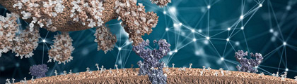 Can AI Help Develop a Universal Coronavirus Vaccine? The Latest Advances in Vaccine Research